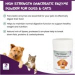 High Strength Pancreatic Enzyme Powder for Dogs & Cats by Chemeyes - Digestive Enzyme Supplement with Amylase, Protease & Lipase - Pancreatin Supports Normal Digestion and Healthy Weight - 250g - Image 3