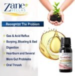Zane Hellas Candidfree Liquid 100% Herbal Formula for Candida Support. Gut Health Support. Colon Health Support. Intestinal Flora Support. 0.5fl.oz - 15ml - Image 4