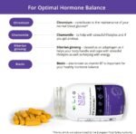 NHP Advanced - PM Support A Vegan Multivitamin for Women to Support Hormone Balance, Reduce Fatigue, and Enhance Stress Relief with Active Nutrients & Herbal Ingredients 60 Vegan Capsules - Image 4