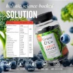 Grass & Co. Family Super Greens Gummies | Multivitamin with C, D, E & Probiotics | Gut Health & Immunity Support | 60 Gummies | Vegan | Mixed Berry Flavour - Image 8