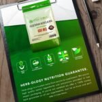 HB Monolaurin | 60 High Strength Monolaurin Capsules - 600mg-Monolaurin per Serving | No Artificial Ingredients or Fillers | Non-GMO, Gluten & Allergen Free | Manufactured in The UK - Image 4