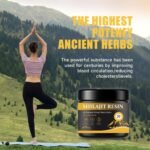 Pure Himalayan Shilajit Resin, Gold Seal Pure Shilajit Enriched with Acid Fulvic, Essential Minerals and 85+ Trace Elements to Boost Energy and Immunity, 50g in a Box of 2 - Image 3