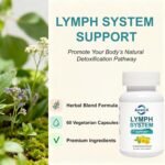 Lymphatic Drainage Supplement, Lymphatic System Support, Detox & Cleanse, Fluid Balance, Immune Support, Natural Herbal Blends, Liposomal Glutathione & More, 60 Capsules - Image 7