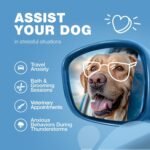 Hemp Calming Chews for Dogs - Dog Calming Treats - Anxiety Relief for Dogs with L-Theanine, Chamomile Extract, Valerian Root - Dog Anxiety Relief for Travel, Vet Visits, Thunderstorms, Nail Trimming - Image 4