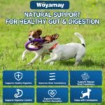 Probiotics for Dogs, Dog Probiotics for Gut Support & Overall Wellness, 200 Chicken Flavour Soft Chews, Probiotic Chews for Dogs, Supports Gut Balance｜Skin Comfort｜Digestive Care for All Dog - Image 4