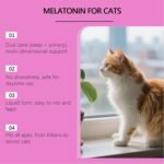 Cat Health Drops - 60ml Calm Down Daily Nutrition,Cat Drops Supplements Edible | for Walking Travel Training Camping Hiking Small Medium Large Breeds - Image 5