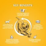 Dr John Dry Puppy Food 30kg (3 x 10kg) with Omega-3s - Chicken Recipe - Complete Nutrition for Puppies of Sporting Active Breeds - Junior High Protein Dry Dog Food - Image 3