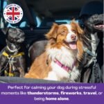 Calm Powder for Dogs - Up to 150 Servings - 130g - Natural Relief for Stress, Reduce Separation Anxiety, Barking, Fear, Reactivity, Travel & Hyperactivity - Calming for All Breeds & Ages - Image 3
