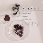 New Nordic Irish Sea Moss Extract - Powerful Tri-Algae Complex with Pure Kelp & Seaweed - Vegan & Gluten Free - Compressed Raw Powder - 30 Tablets - Image 5