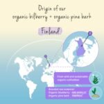 Vegavero Organic Bilberry 12,000 mg & Pine Bark | from High Strength Extracts | Premium Quality from Finland | NO Additives | 90 Capsules | Vegan - Image 4