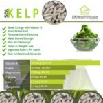 UKHealthHouse Sea Kelp 600mg X 60 Capsules - Detox UK Health House Supplements - Image 5