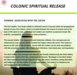 Sacral Bowel & Body Cleanse | Gastrointestinal Cleanse Support - Spirituality, Science & Supplements by Shakra Health - Image 5