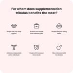 Vilgain Tribulus - High-dose Extract with 40% protodioscin & 90% saponins, Vegan, for Energy, Vitality, Regeneration & Well-Being, Laboratory-Tested, Ideal for Athletes & Active People - Image 4