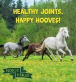 Joint Support Plus 3kg | 100% Natural Feed Supplement for Horses & Ponies, Mobility Support, Stiff, Equine Care - Image 5