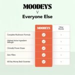 Upgrade Me, Productivity & Energy Enhancing Supplement | Super Strength Lion's Mane Mushroom (5,100mg) with Guarana Powder, L-Theanine & Panax Ginseng | Supports Cognitive Function - Image 5