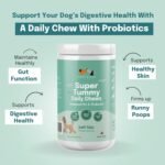 Buddy & Lola Probiotics For Dogs - Daily Dog Probiotic Chews For Digestive Health - Beneficial Prebiotics, Probiotics & Fibre For Better Gut, Firm Stools, Less itching - Plant Based Chews For Dogs - Image 3
