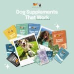 Buddy & Lola Probiotics For Dogs - Daily Dog Probiotic Chews For Digestive Health - Beneficial Prebiotics, Probiotics & Fibre For Better Gut, Firm Stools, Less itching - Plant Based Chews For Dogs - Image 6