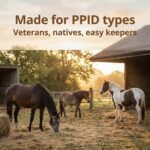CSH | PPID (Cushing’s) Support for Horses | Chasteberry Vitex Agnus Castus & Boswellia | Hormonal & Mobility Support | Molasses-Free Magnesium Carbonate Powder - Image 4