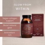 Ancient + Brave - Radiant Collagyn for Beauty 200 Grams - Vegan Collagen Powder with Chicory Root - Plant Based Supplement for Hair, Skin & Nails - Non-GMO, Paleo & Keto - Image 3