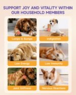 Mushroom for Dogs Liquid - Mushroom Supplement for Dogs, Supports Joint & Gut Health, Enhances Energy, Boosting Immunity, Mushroom Blend Drop, 60ml - Image 4