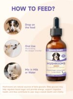 Mushroom for Dogs Liquid - Mushroom Supplement for Dogs, Supports Joint & Gut Health, Enhances Energy, Boosting Immunity, Mushroom Blend Drop, 60ml - Image 6