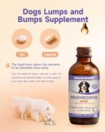Mushroom for Dogs Liquid - Mushroom Supplement for Dogs, Supports Joint & Gut Health, Enhances Energy, Boosting Immunity, Mushroom Blend Drop, 60ml - Image 7