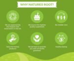 Natures Root Organic Superfoods Shiitake Powder - 250g - Image 6