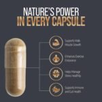 Capsules 500mg – Pure Himalayan Shilajit Gold Grade 60 Capsules – Daily Energy Supplement for Wellbeing - Vegan Ayurveda Products - Image 5