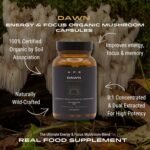 APE Nutrition Dawn Organic Cordycep Lion’s Mane Mushroom Blend Capasules (80 Capsules) - Certified Organic, Improve Energy Focus & Memory, UK Mushroom Supplements, 100% Pure No Filler - Image 3