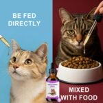 Calming Supplements for Cats - 60ml Cat Sedative Drops Sleep Relieving Aid | Sleep Support Supplement Pet Supplies for Kitten Daily Night Indoor Thunderstorm Travel Bathing Aggression Grooming - Image 9
