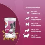 Brewer's Yeast Dog Nutritional Supplement - Skin and Coat Care - 260 tablets - rich in B-complex vitamins, with minerals and omega-3 - Image 4