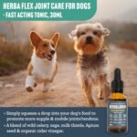 Herbal Dog Co Herbaflex Dog Joint Care Tonic, 30ml - Joint Supplements for Dogs & Puppies - Promotes Joint Health for Comfortable Walks - All-Natural, Vegan, Made in UK - Image 3