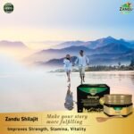 Zandu Pure Himalayan Shilajit Resin| Natural & Ayurvedic| Helps Enhance Strength & Stamina | Maintains Overall Holistic Wellness- 10 g - Image 3