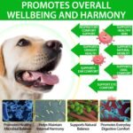 Dog Immune Support Drops – Herbal Liquid Supplement - Helps Maintain Normal Immune Function, Skin & Coat Health, and Digestive Comfort | 60ml - Image 4