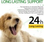 Dog Immune Support Drops – Herbal Liquid Supplement - Helps Maintain Normal Immune Function, Skin & Coat Health, and Digestive Comfort | 60ml - Image 5