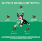 Bonza Pre & Probiotics for Dogs Gut Health and Digestion, Natural Dog Probiotic Supplement with Fibre & Botanicals, Dog Digestive Support Chews, 60 Soft Bites - Image 4
