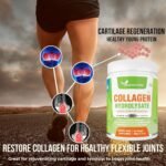Premium Collagen Powder 500g Unflavoured High Grade Hydrolysed Collagen Joints, Bones, Gut, Wrinkles, Hair, Skin, Nails, Pain, Injury, Sleep, Fitness, Fasting Friendly, Keto, Halal & Kosher Certified - Image 3