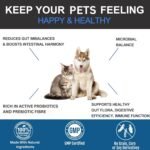Probiotic & Prebiotic Paste for Dogs & Cats – Digestive Support, Firm Stools, Gut Soothing Formula with Enzymes, Fibre, Colostrum – Fast Relief for Loose Stool (30 ml) - Image 4