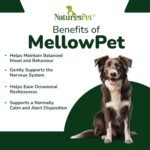 MellowPet – Calming Supplement for Dogs 120ml | Stress, Anxiety & Barking Relief for Travel & Separation | With Valerian & Ashwagandha – Salmon Flavour - Image 4