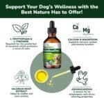 MellowPet – Calming Supplement for Dogs 120ml | Stress, Anxiety & Barking Relief for Travel & Separation | With Valerian & Ashwagandha – Salmon Flavour - Image 5