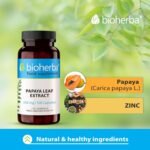 Papaya Leaf Extract 250 mg – 200 Capsules | Plant-Based Digestive Supplement with Natural Enzymes for Daily Wellness - Image 4
