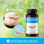 Papaya Leaf Extract 250 mg – 200 Capsules | Plant-Based Digestive Supplement with Natural Enzymes for Daily Wellness - Image 7