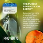 Organic Probiotic Supplement H. Pylori Treatment 750 mg 10 Capsules Probiotics for Digestive Health Immune Support Vegan Probiotic Bio for Healthy Gut Anti Bloating for Men and Women - Image 5