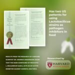 Organic Probiotic Supplement H. Pylori Treatment 750 mg 10 Capsules Probiotics for Digestive Health Immune Support Vegan Probiotic Bio for Healthy Gut Anti Bloating for Men and Women - Image 6