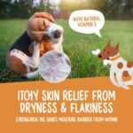 Omega 3 for Dogs & Cats, Omega 369 Fish Oil for Dogs & Cats 1000mg, 120 Softgel Capsules. Seed & Fish Oil Supplement for Healthy Joints, Skin & Coat, Brain, Heart & Immune Health & Vitality. - Image 4