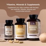 Mushroom Complex | 6 Mushrooms Supplement Blend with Lions Mane, Cordyceps, Reishi, Shiitake, Chaga and Maitake | 240 High Strength Vegan Capsules | with Vitamin C, Zinc & Black Pepper | Alpha Foods - Image 6