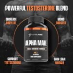 Alpha Male by Pure Labs – 60 Capsules | Male Vitality & Energy Support | Formulated to Maintain Normal Testosterone Levels - Image 3
