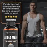 Alpha Male by Pure Labs – 60 Capsules | Male Vitality & Energy Support | Formulated to Maintain Normal Testosterone Levels - Image 4