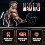 Alpha Male by Pure Labs – 60 Capsules | Male Vitality & Energy Support | Formulated to Maintain Normal Testosterone Levels - Image 5