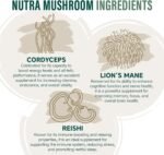 NutraMushroom - Comprehensive Mushroom Complex, with 6000mg of Shiitake, Maitake, Reishi, Chaga, Cordyceps and Lion’s Mane - with Added Vitamin C, D & Zinc - NutraVit, 30 Capsules - Image 5